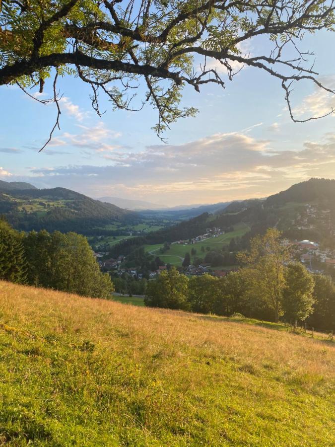 Berg & Tal Apartment Oberstaufen Luaran gambar