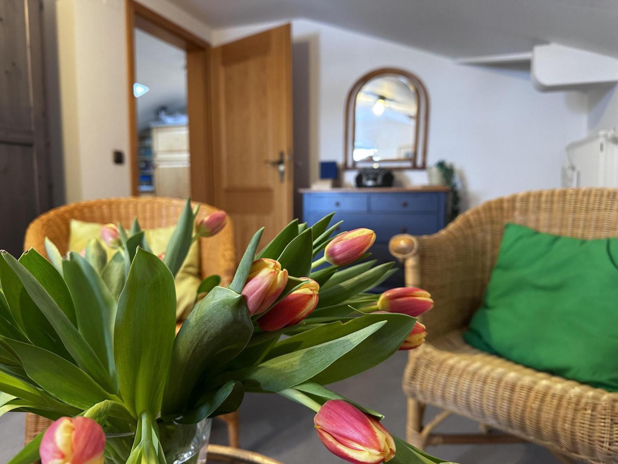 Berg & Tal Apartment Oberstaufen Luaran gambar